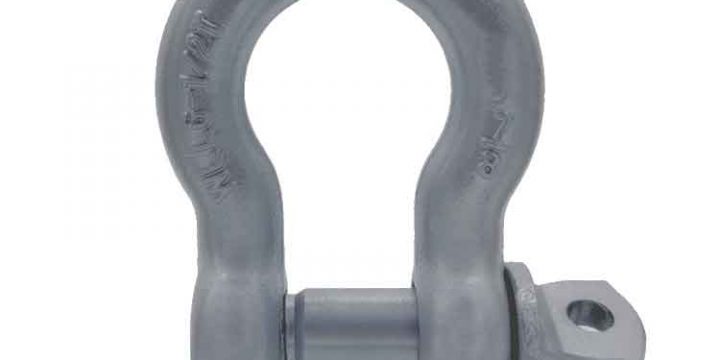 Bow Shackle with Screw Pin|Chain/Anchor Shackles