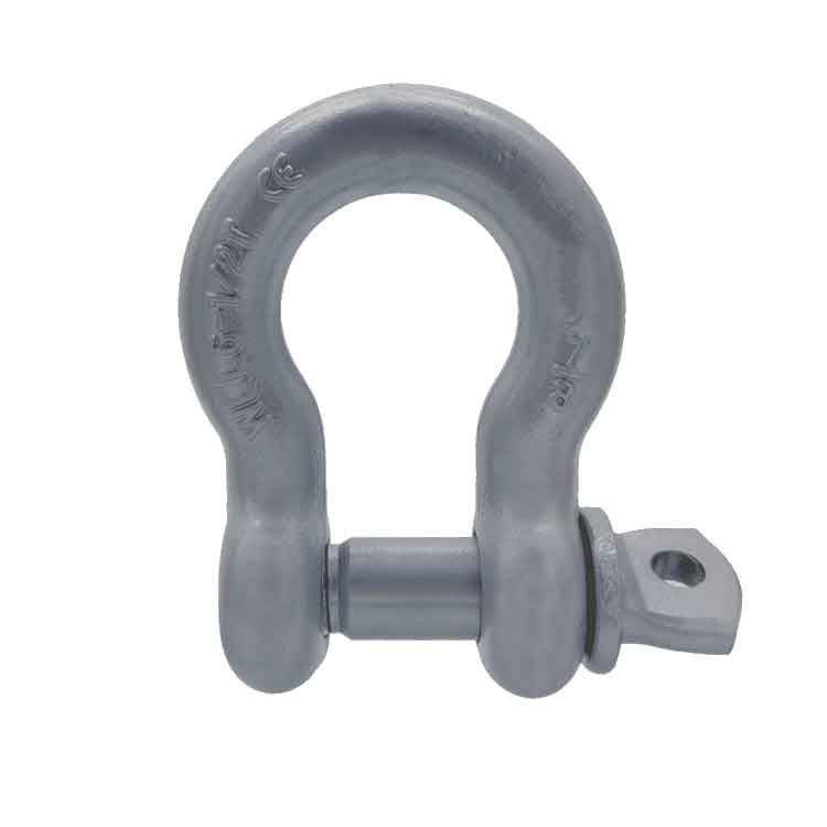 Bow Shackle